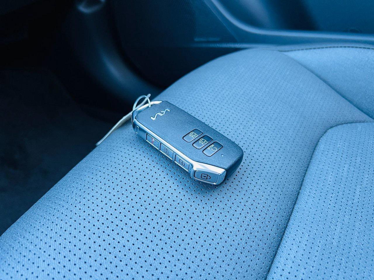 2026 Kia NIRO EV WAVE Photo