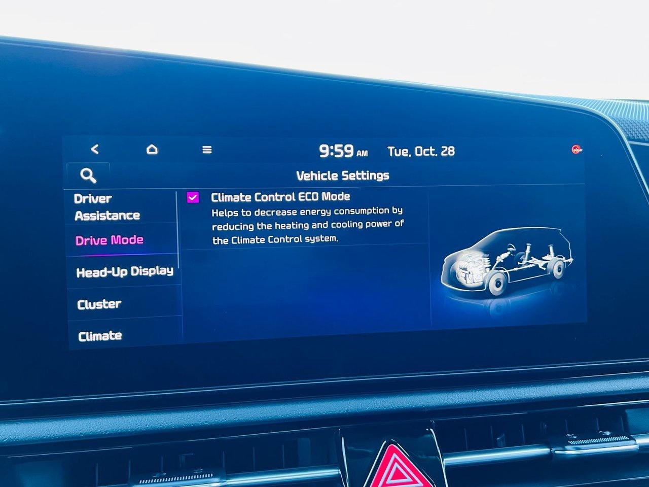 2026 Kia NIRO EV WAVE Photo