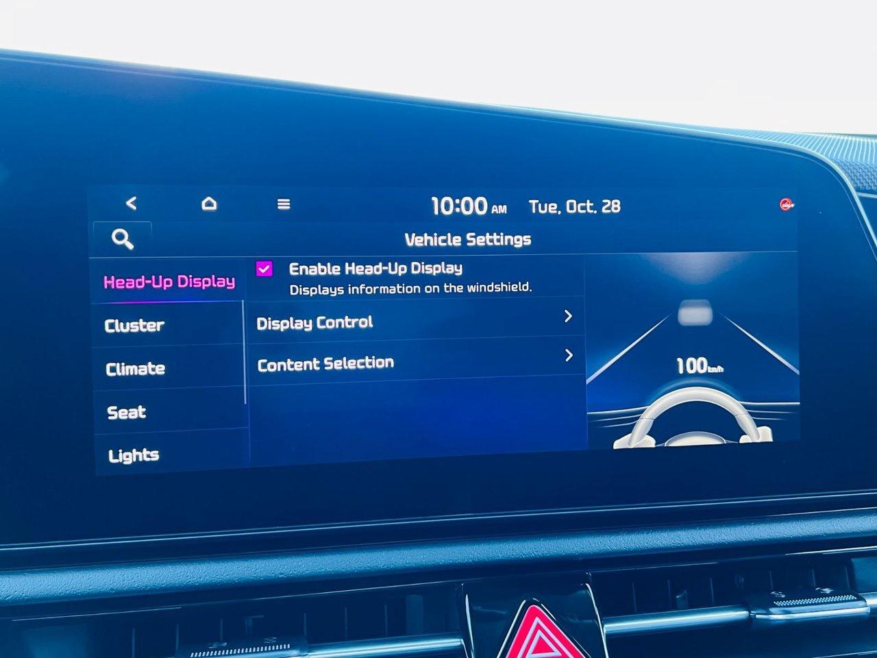 2026 Kia NIRO EV WAVE Photo