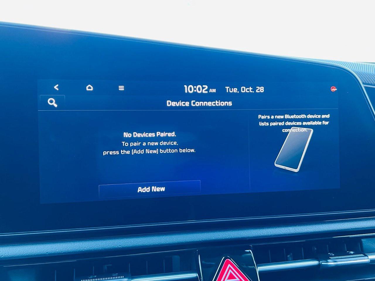 2026 Kia NIRO EV WAVE Photo