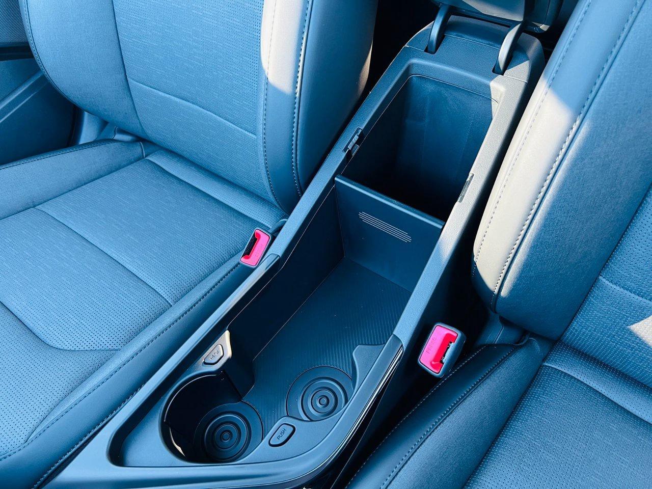 2026 Kia NIRO EV WAVE Photo