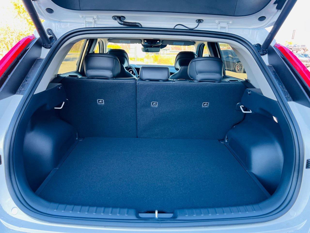 2026 Kia NIRO EV WAVE Photo