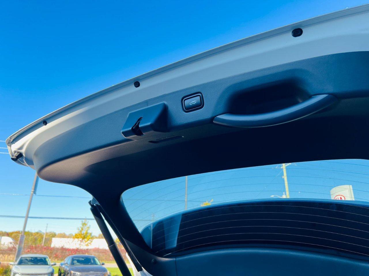 2026 Kia NIRO EV WAVE Photo