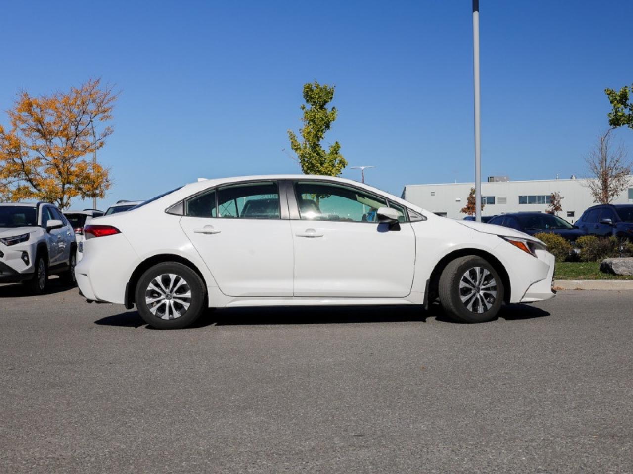 2024 Toyota Corolla Hybrid LE  - $201 B/W Photo