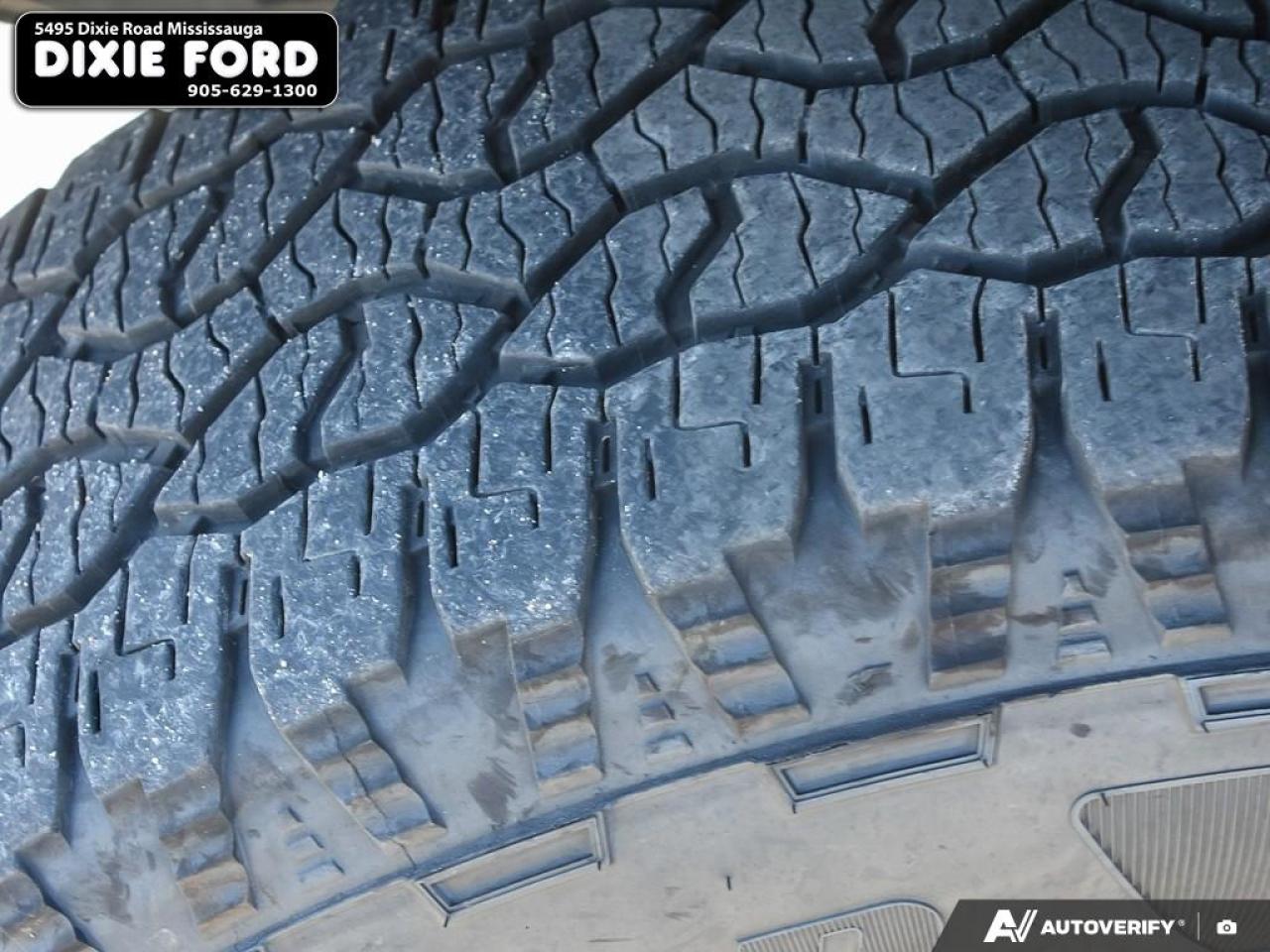 2024 Ford F-150 XLT Photo