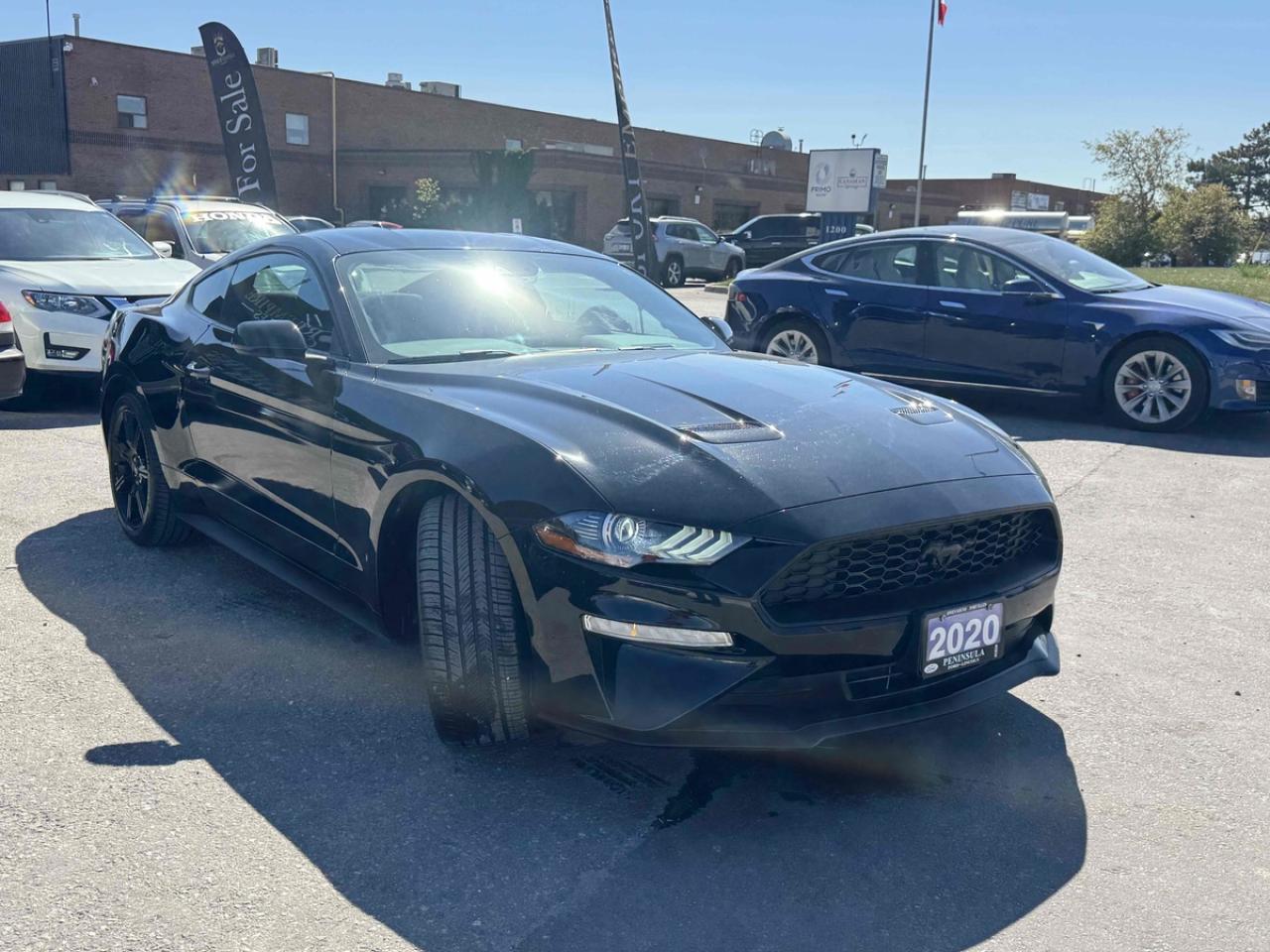 2020 Ford Mustang EcoBoost Fastback - Photo #3