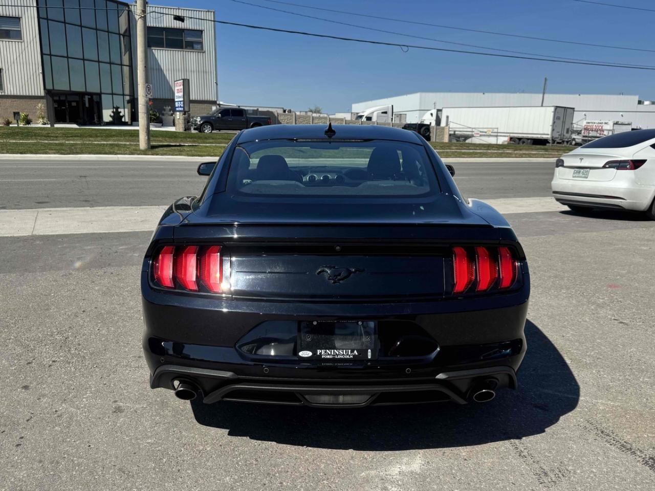 2020 Ford Mustang EcoBoost Fastback - Photo #11