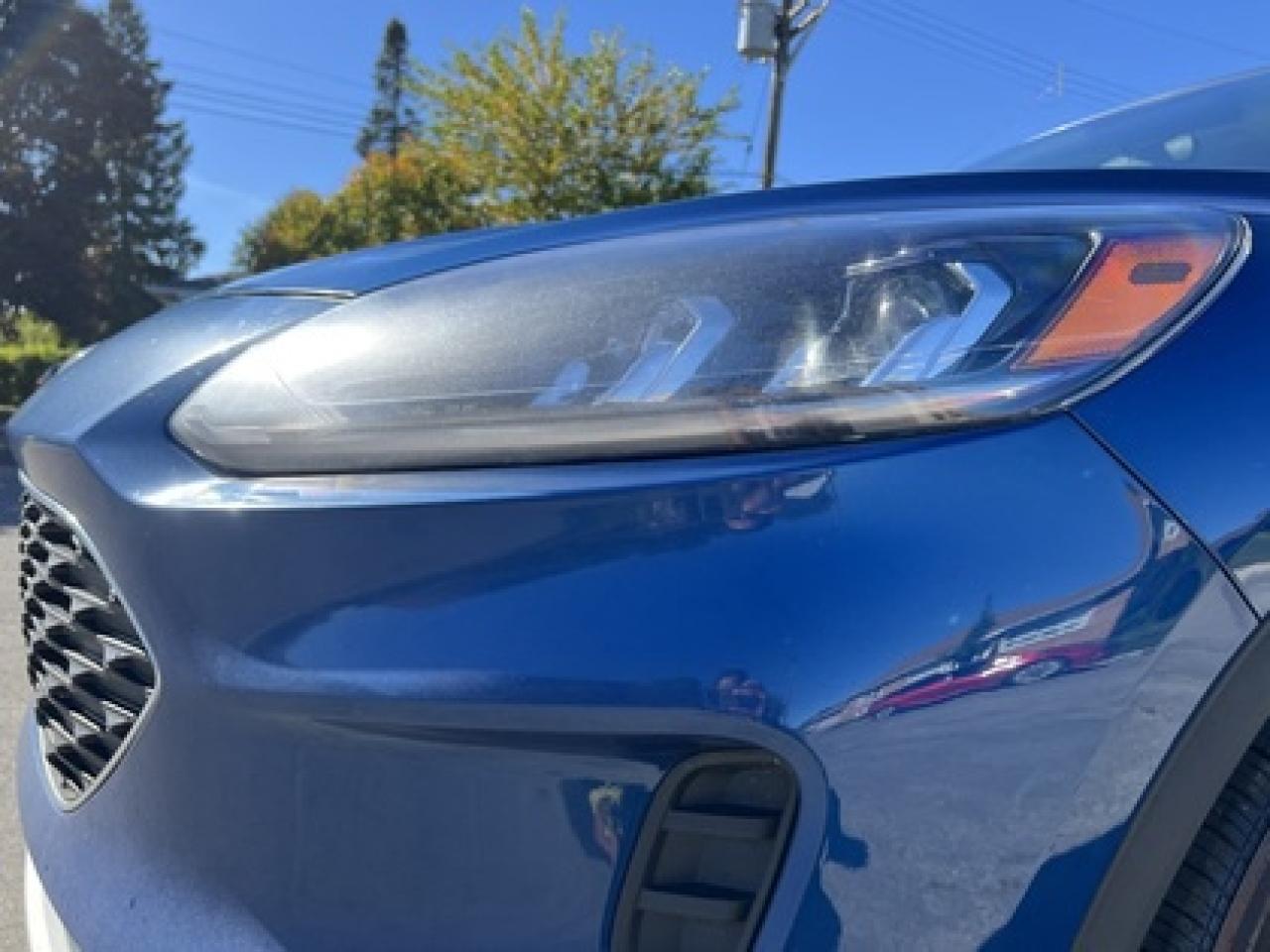 2022 Ford Escape SE AWD Photo