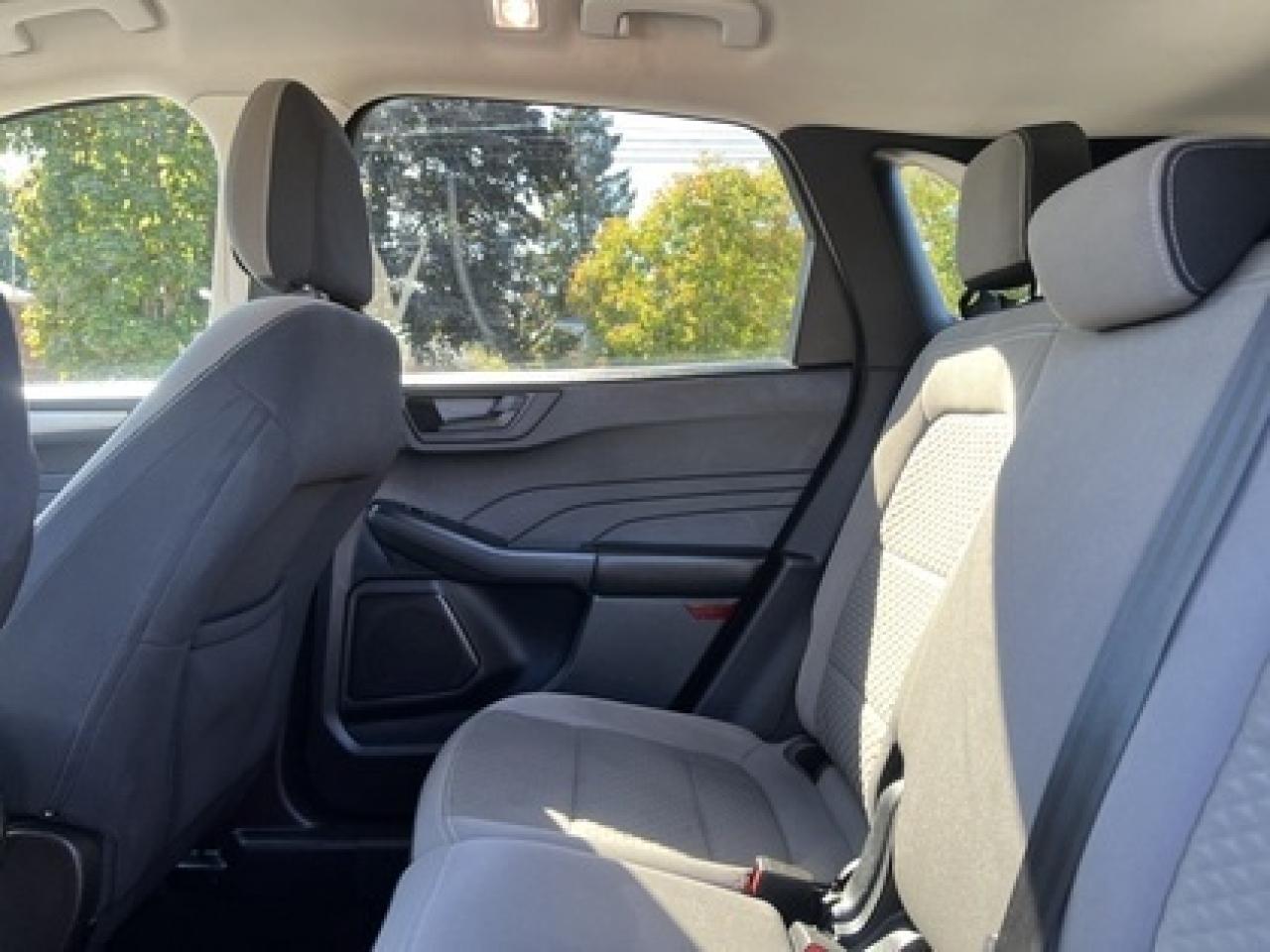 2022 Ford Escape SE AWD Photo