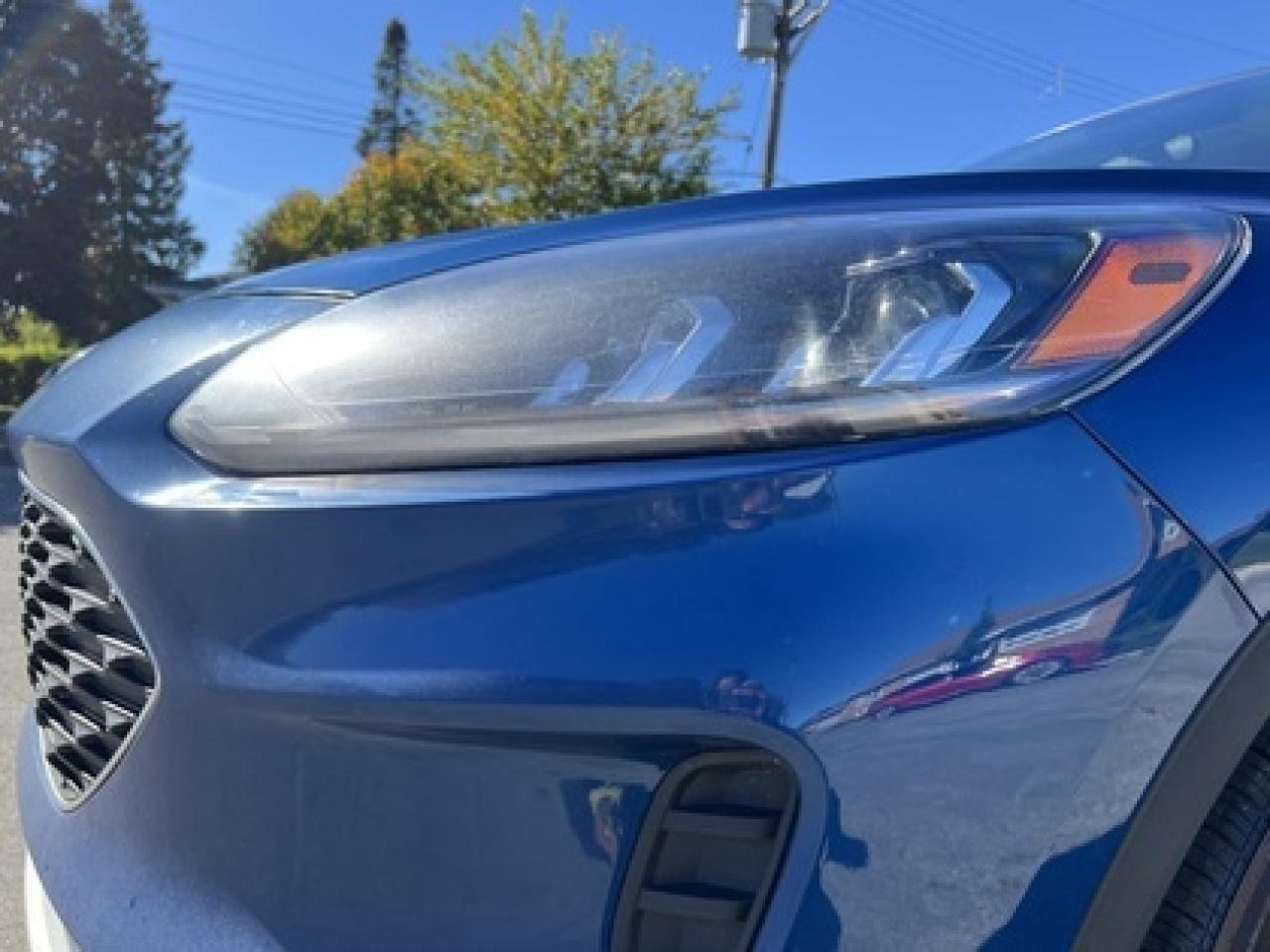 2022 Ford Escape SE AWD Photo