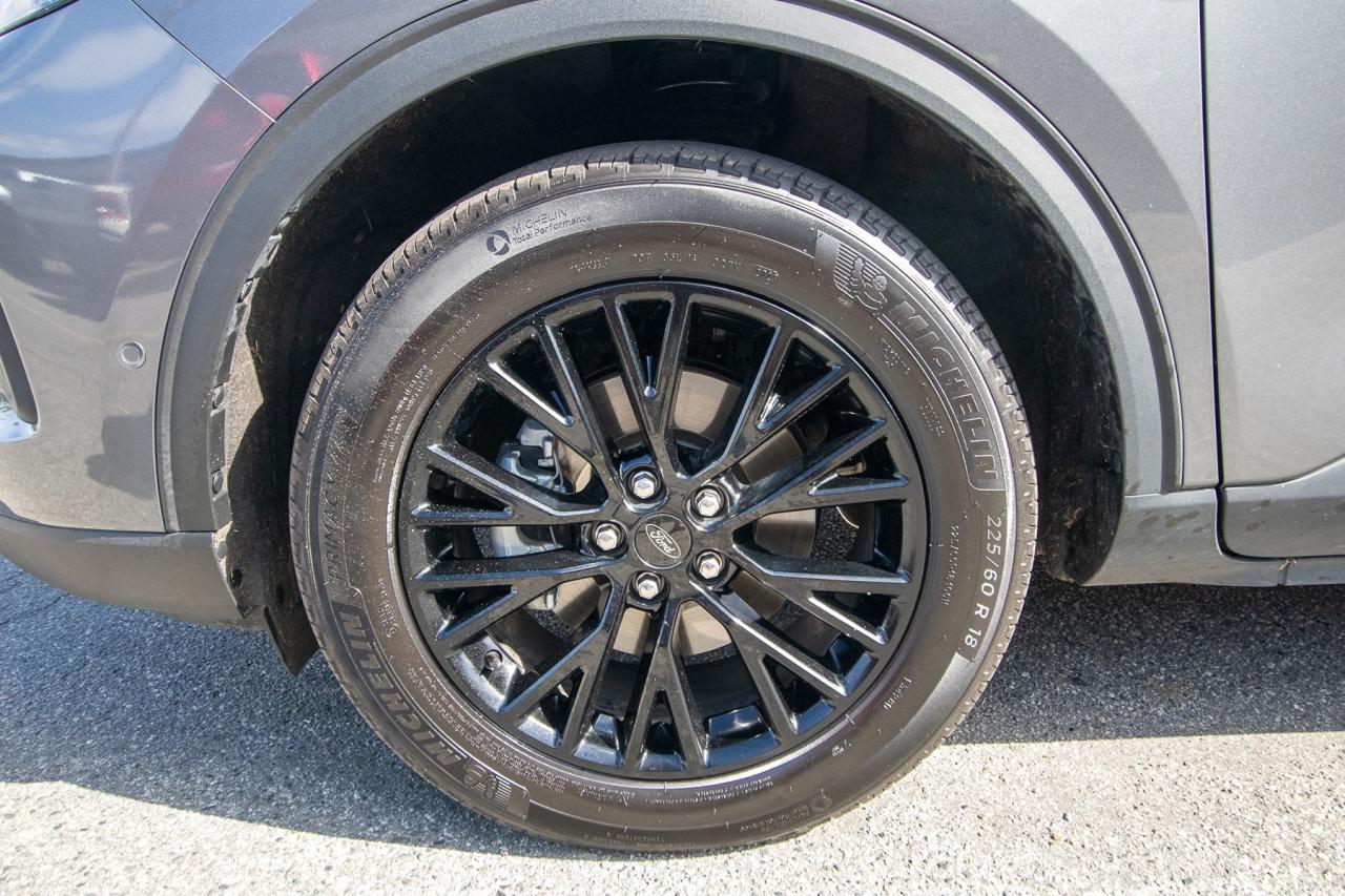 2023 Ford Escape PHEV FWD Photo5
