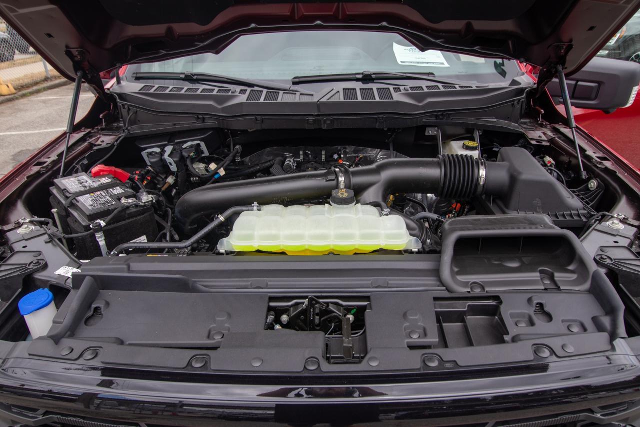 2025 Ford F-150 XLT 4WD SuperCrew 5.5' Box Photo5