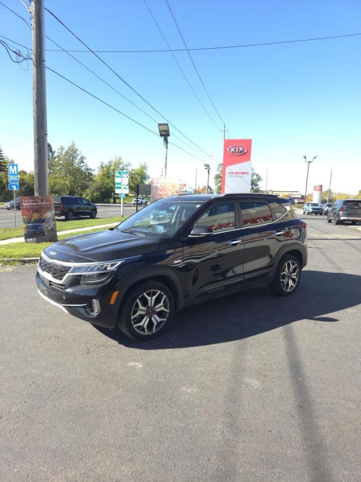 Used 2022 Kia Seltos EX AWD for sale in Peterborough, ON