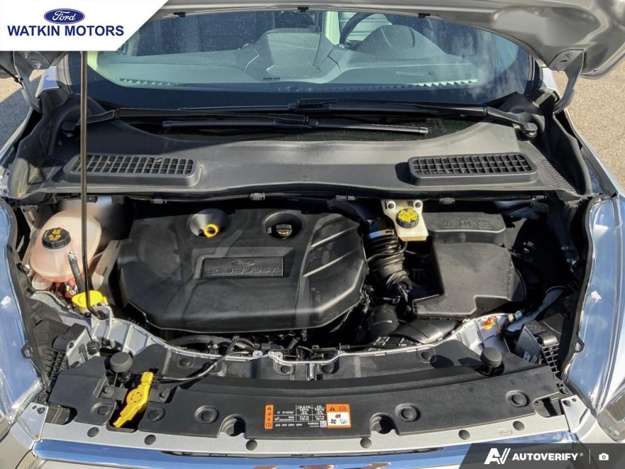 2019 Ford Escape Titanium Photo12