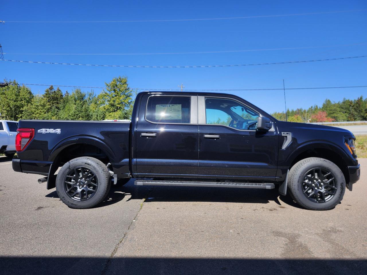 2025 Ford F-150 STX 4WD SuperCrew 5.5' Box Photo5