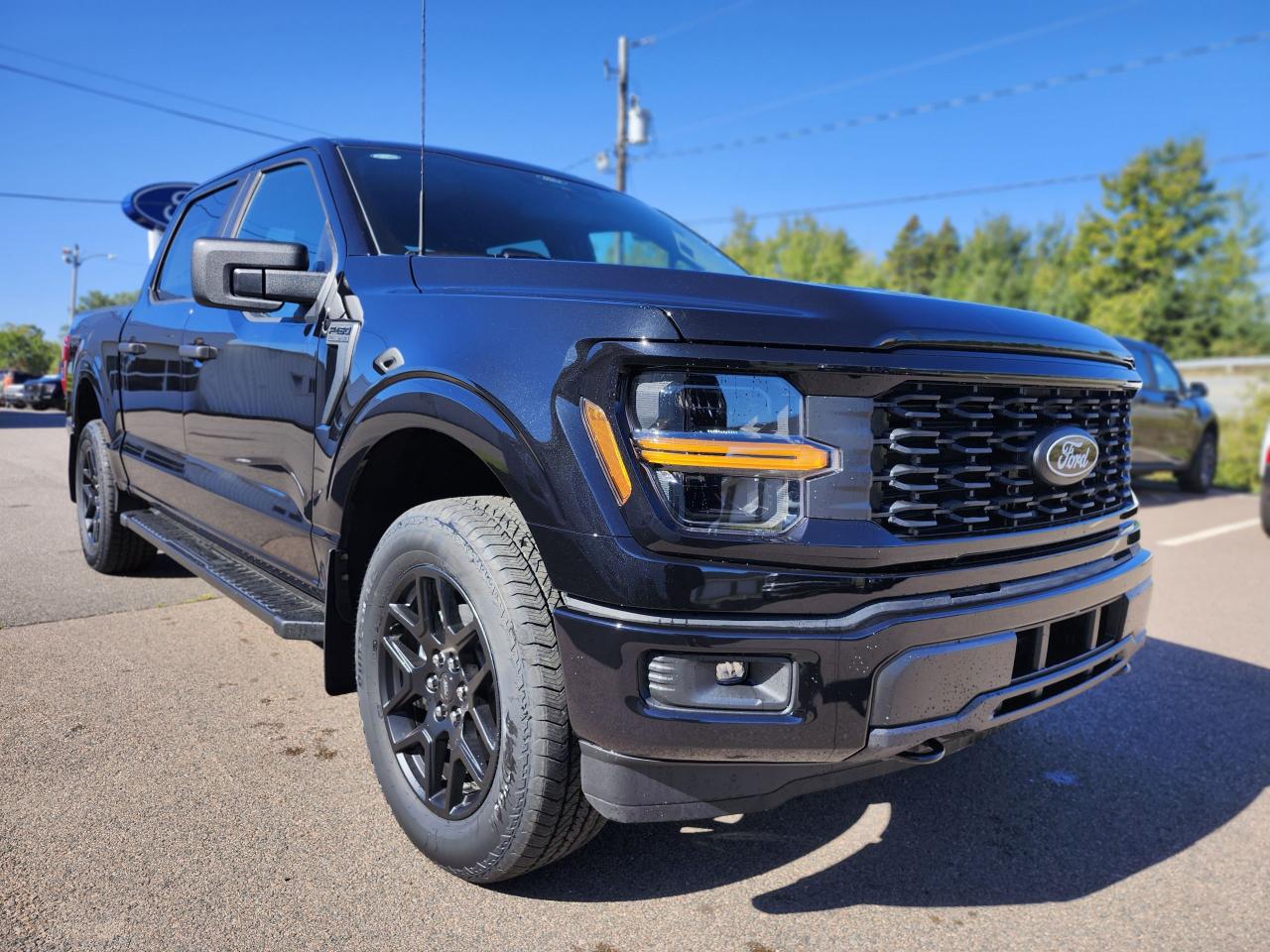 2025 Ford F-150 STX 4WD SuperCrew 5.5' Box Photo5