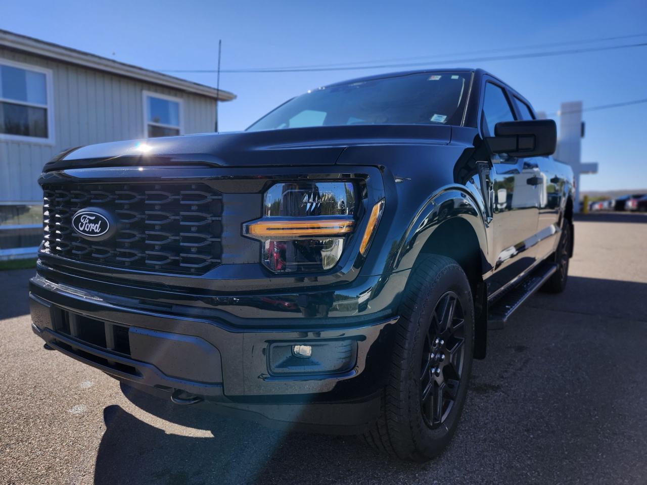 2025 Ford F-150 STX 4WD SuperCrew 5.5' Box Photo5