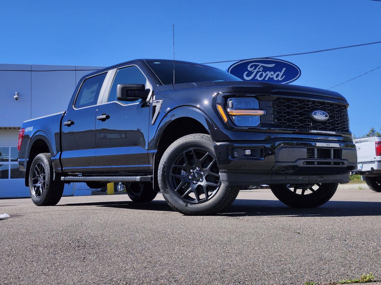 2025 Ford F-150 STX 4WD SuperCrew 5.5' Box Photo0