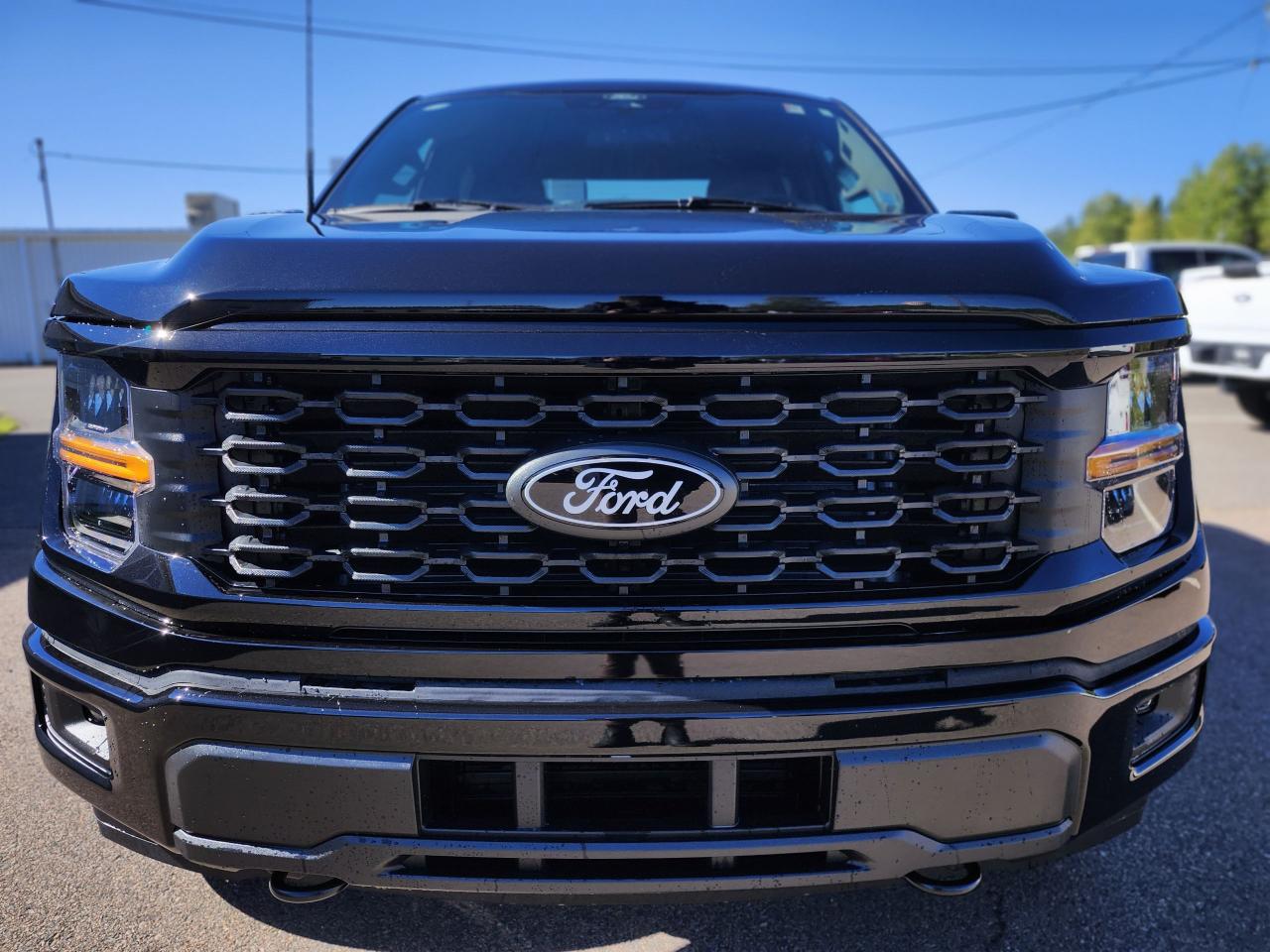 2025 Ford F-150 STX 4WD SuperCrew 5.5' Box Photo5