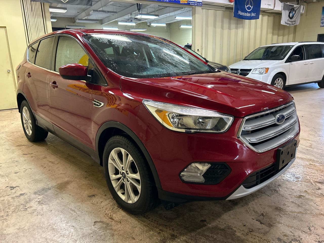 2019 Ford Escape SE - Photo #6