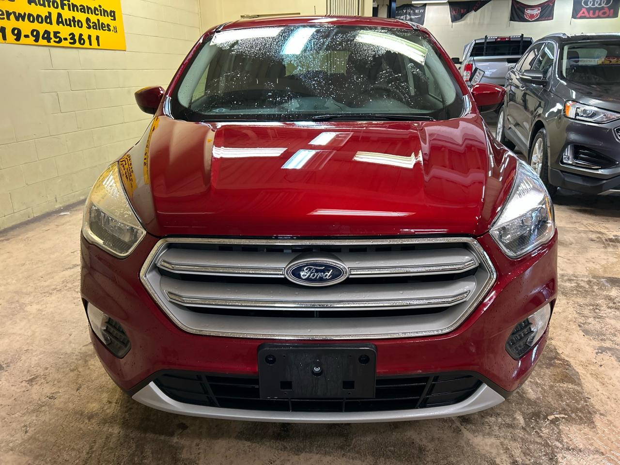 2019 Ford Escape SE - Photo #7