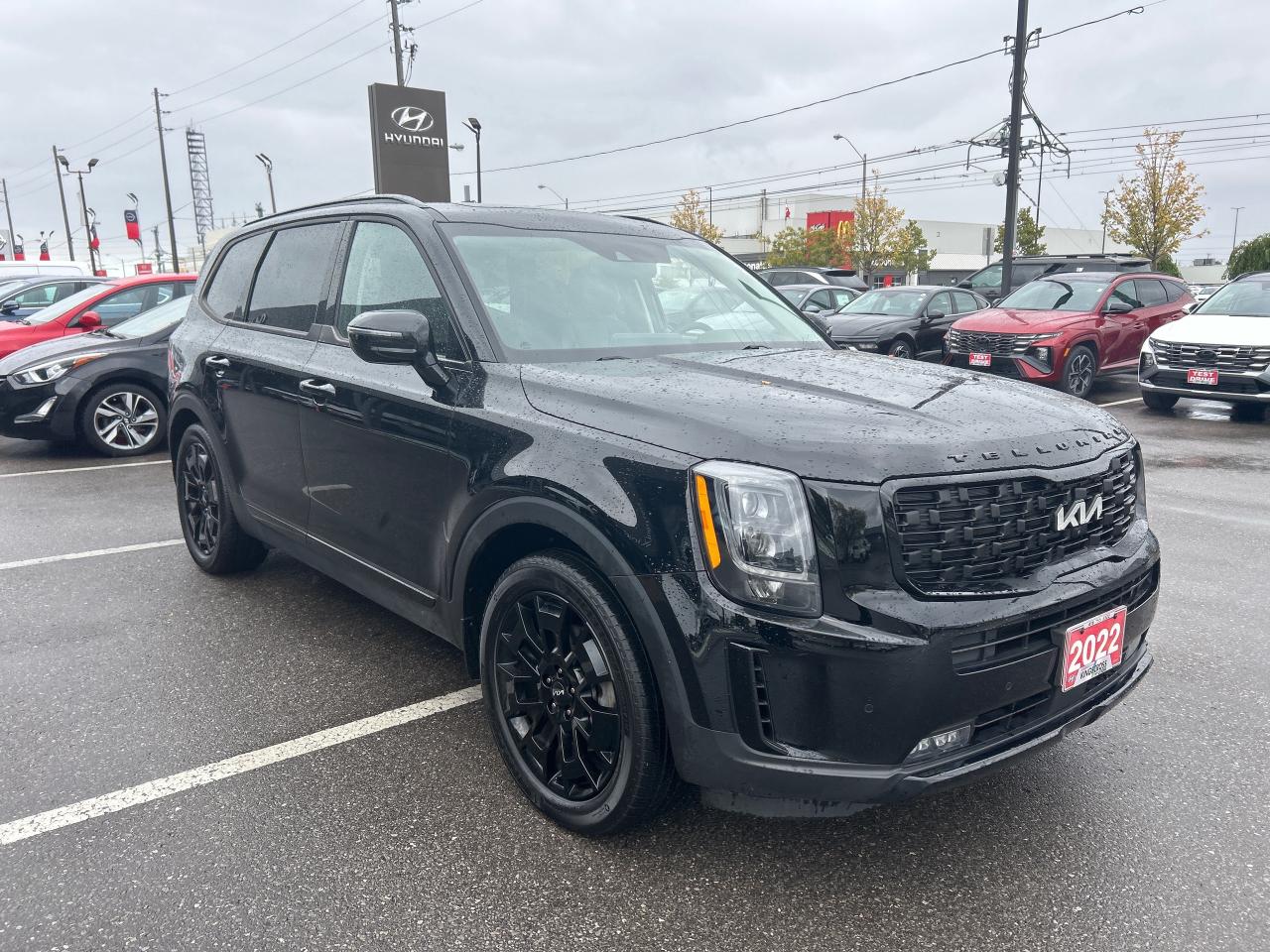 2022 Kia Telluride NIGHTSKY Photo