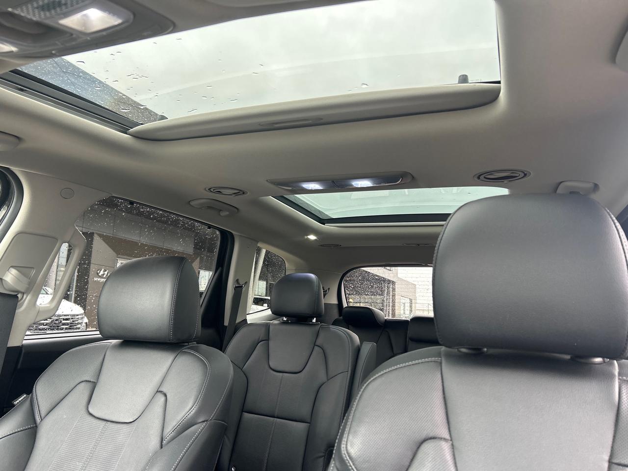 2022 Kia Telluride NIGHTSKY Photo