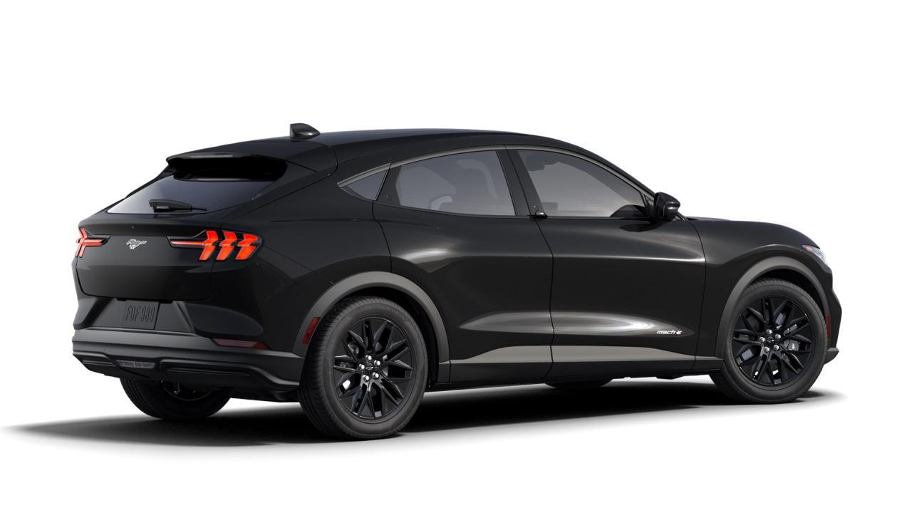 2025 Ford Mustang Mach-E SELECT RWD Standard Range Battery Photo5