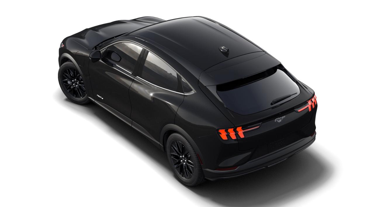 2025 Ford Mustang Mach-E SELECT RWD Standard Range Battery Photo