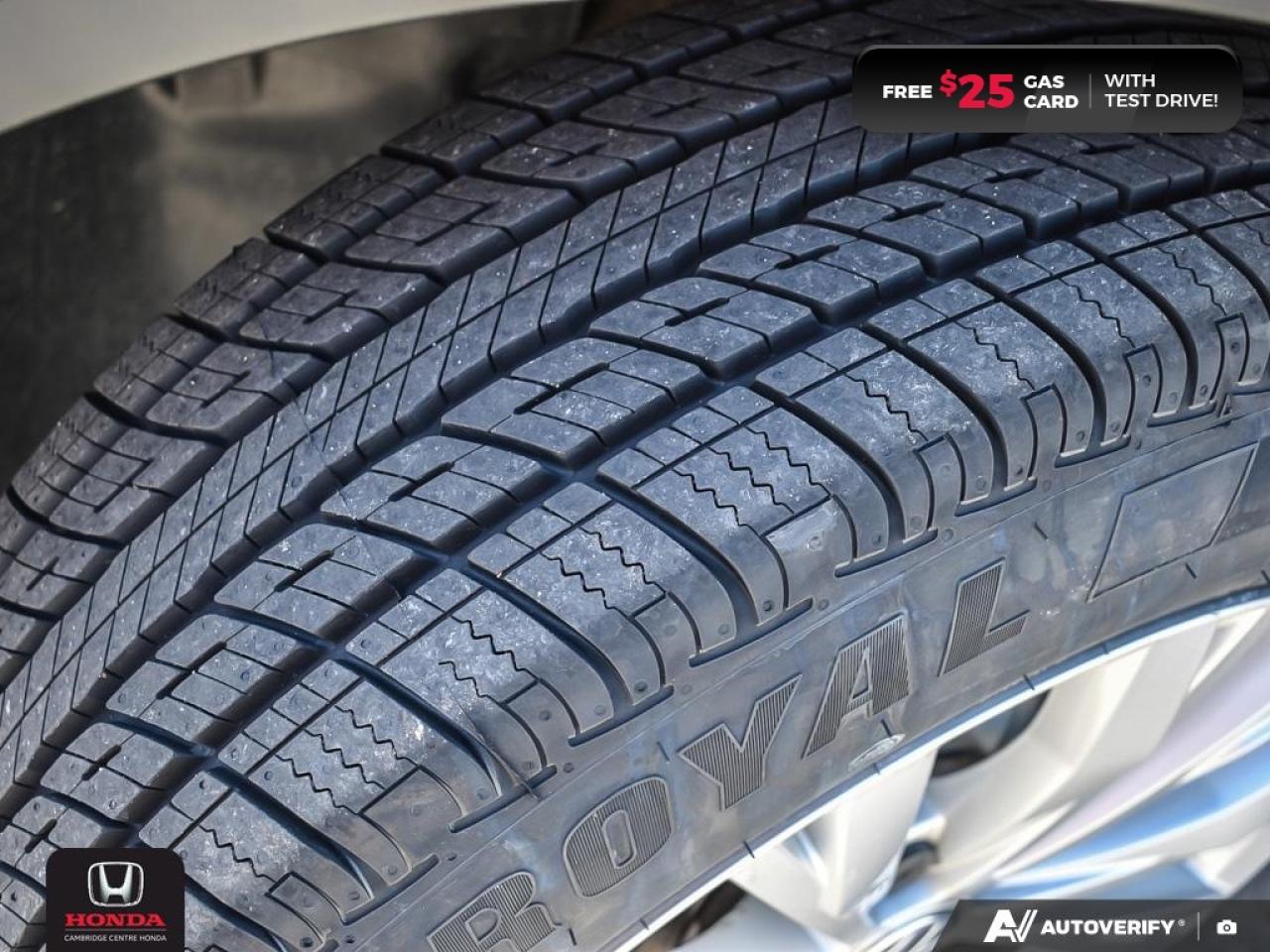 2019 Volkswagen Tiguan Trendline Photo