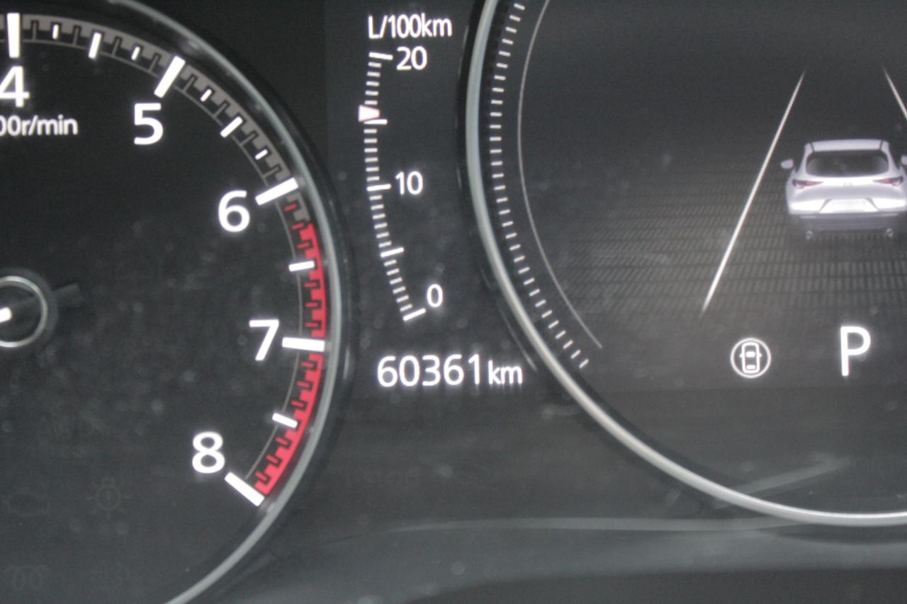 13000495