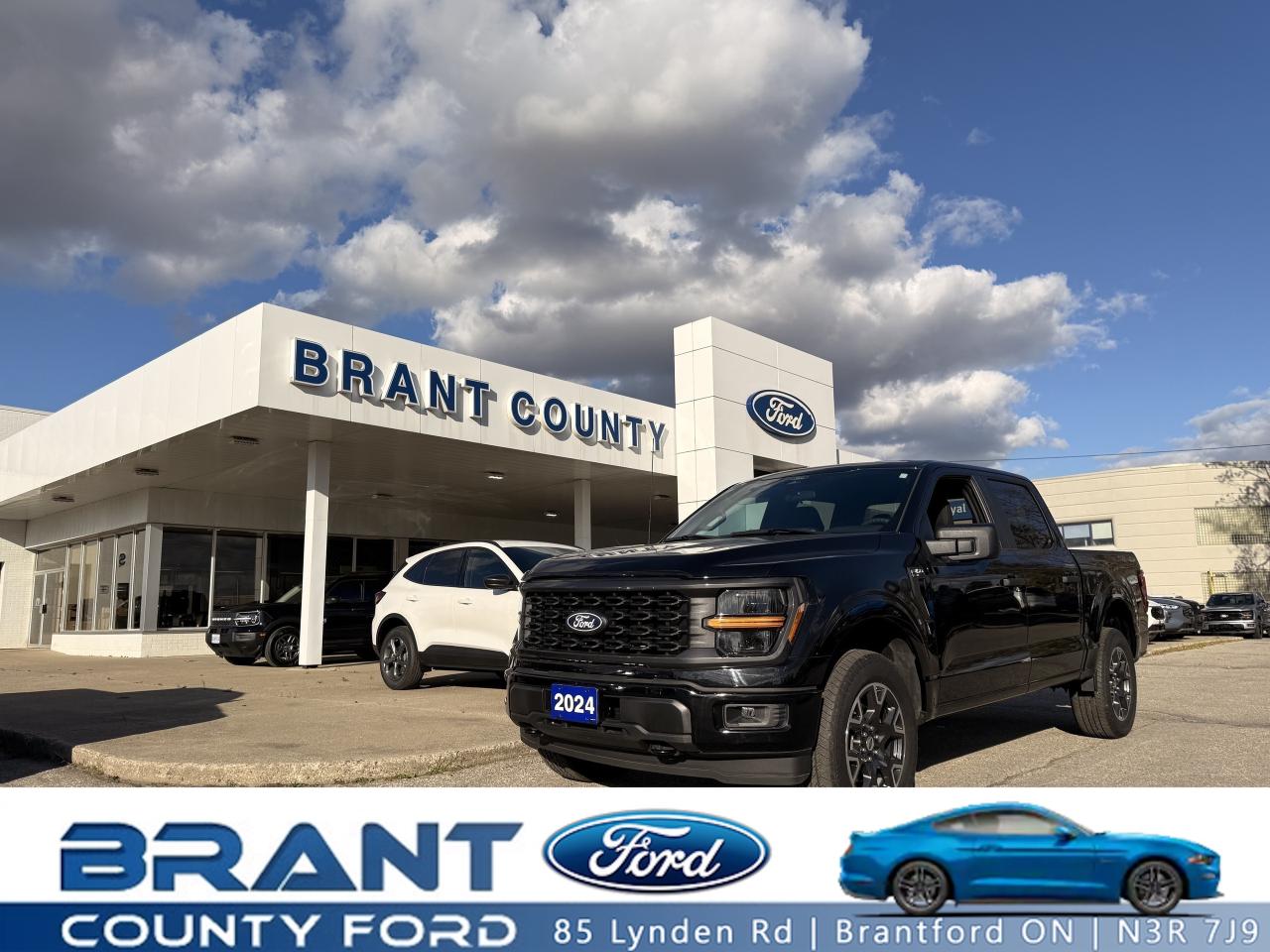 2024 Ford F-150 STX/4X4 ONE OWNER/SHORT BOX! Photo0