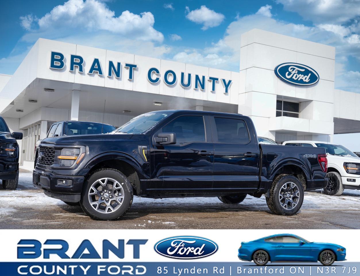 2024 Ford F-150 STX | 4X4 ONE OWNER | SHORT BOX - BIG ATTITUDE! Photo