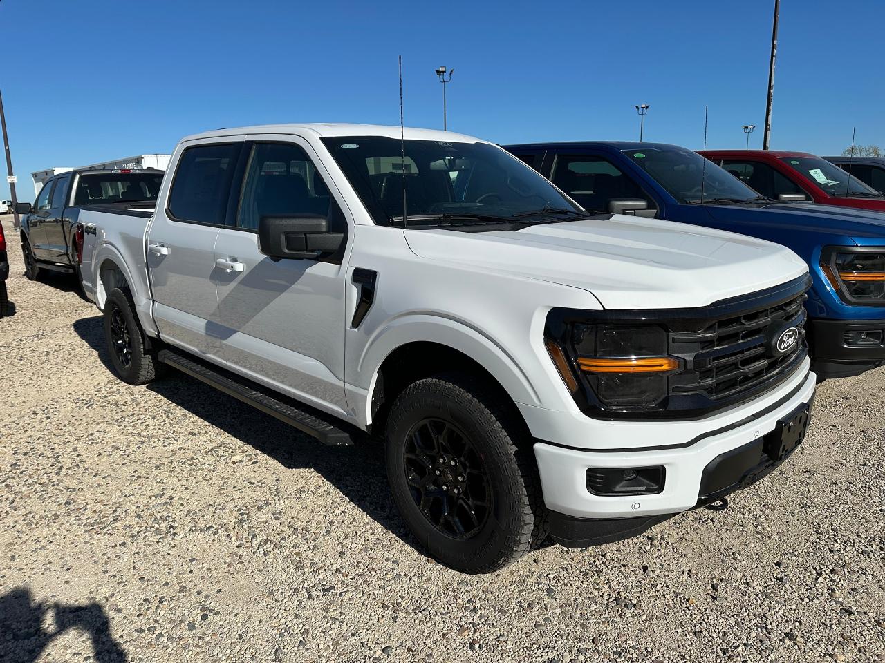 2025 Ford F-150 XLT 4WD SuperCrew 5.5' Box 302A Photo2