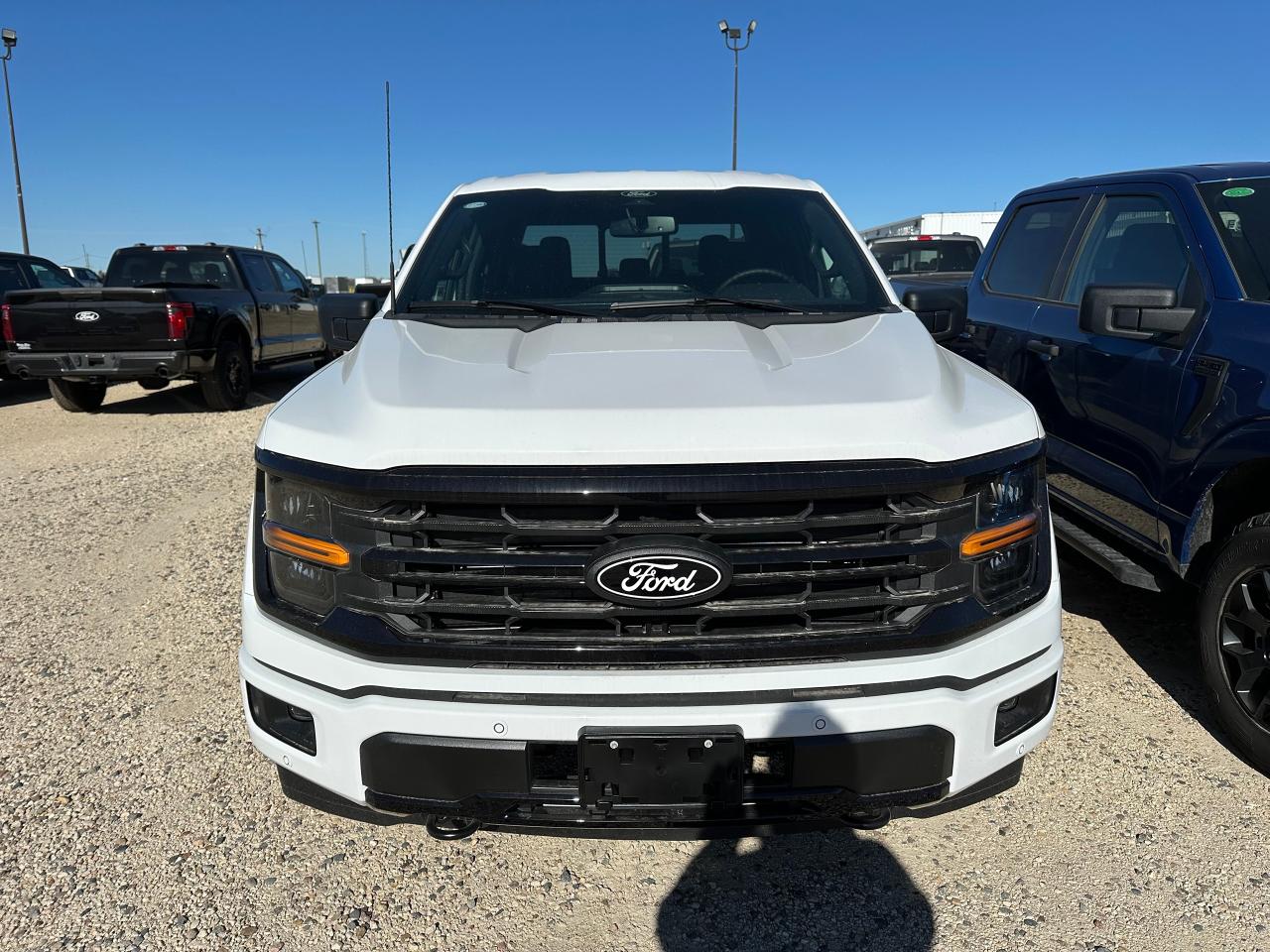 2025 Ford F-150 XLT 4WD SuperCrew 5.5' Box 302A Photo