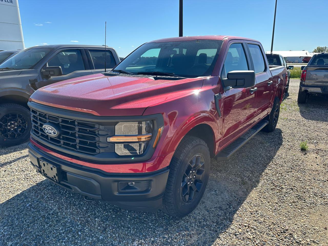 New 2025 Ford F-150 STX 4WD SuperCrew 5.5' Box 201A for sale in Elie, MB