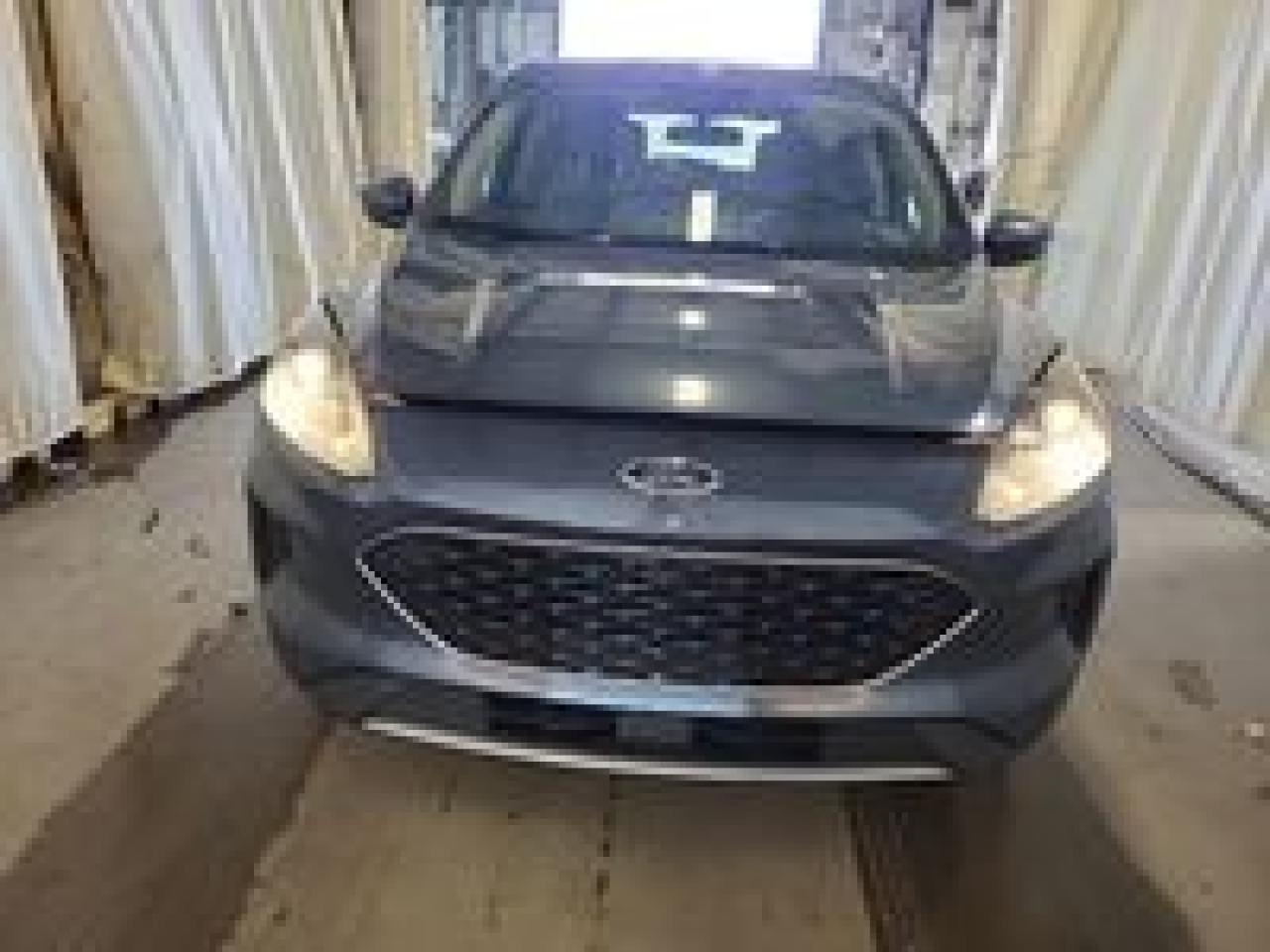 2020 Ford Escape SE Photo5