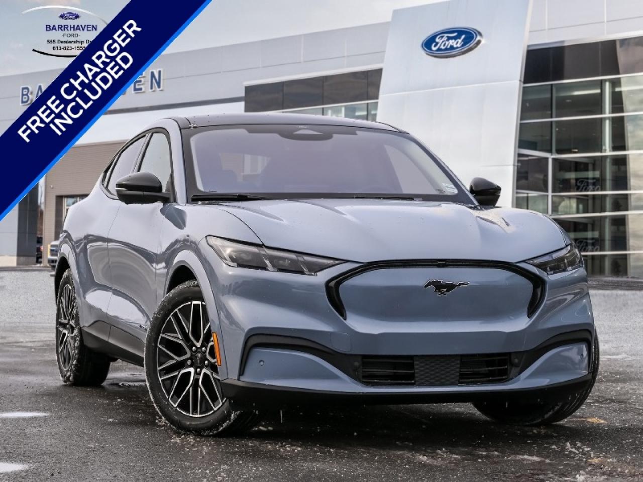 2025 Ford Mustang Mach-E Premium Photo0