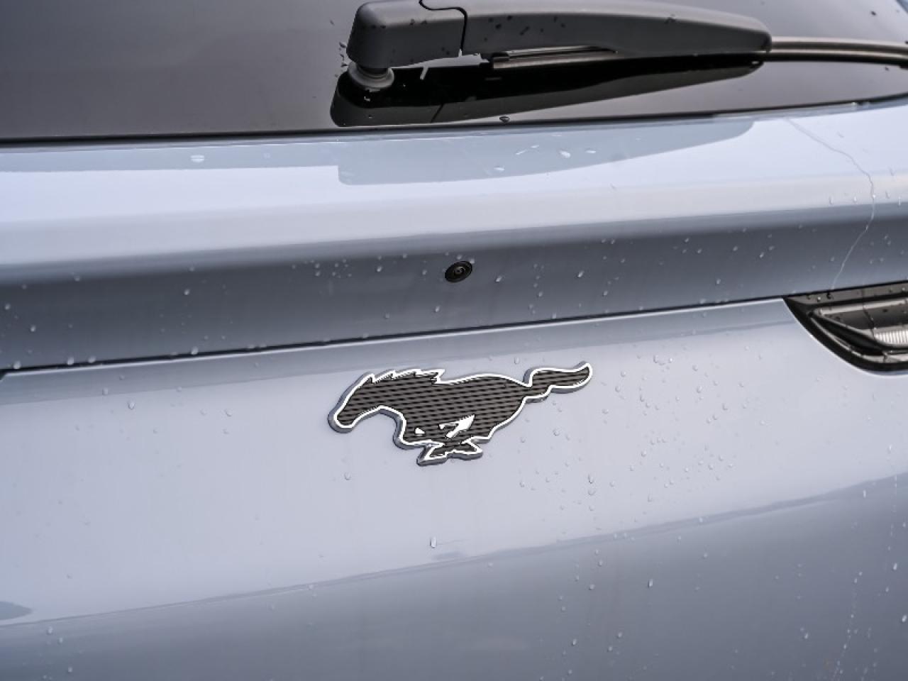 2025 Ford Mustang Mach-E Premium Photo