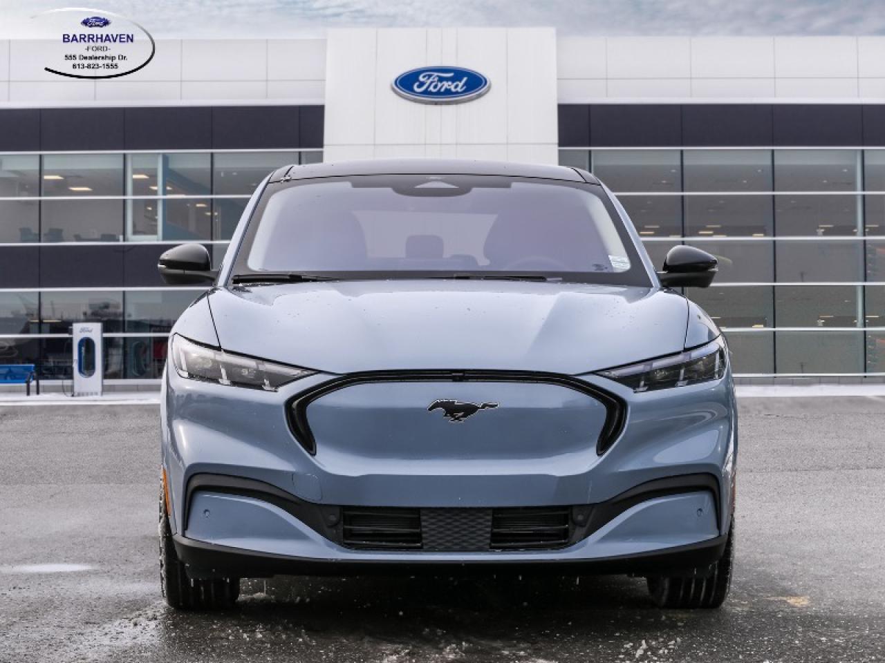 2025 Ford Mustang Mach-E Premium Photo