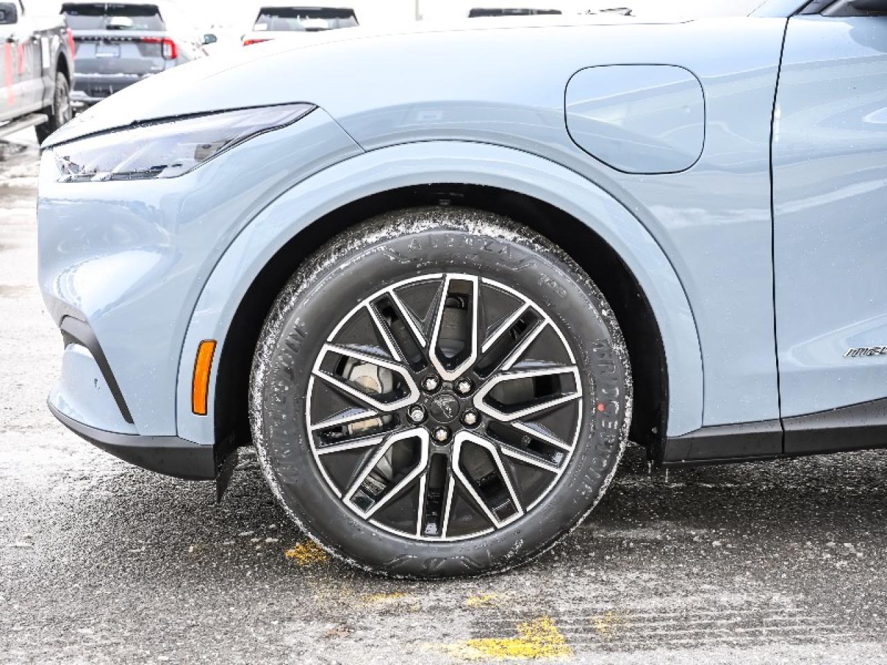 2025 Ford Mustang Mach-E Premium Photo