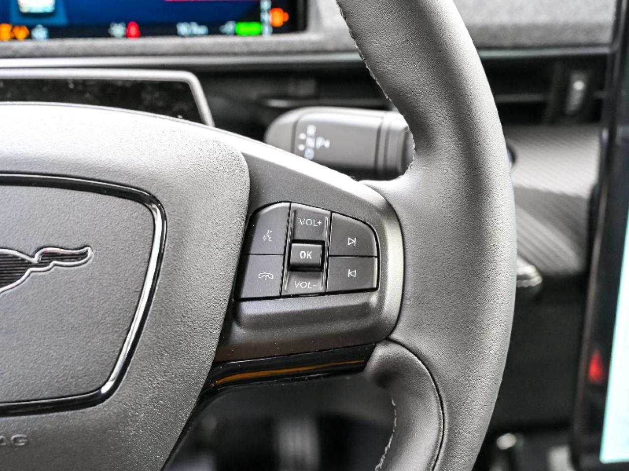 2025 Ford Mustang Mach-E Premium Photo