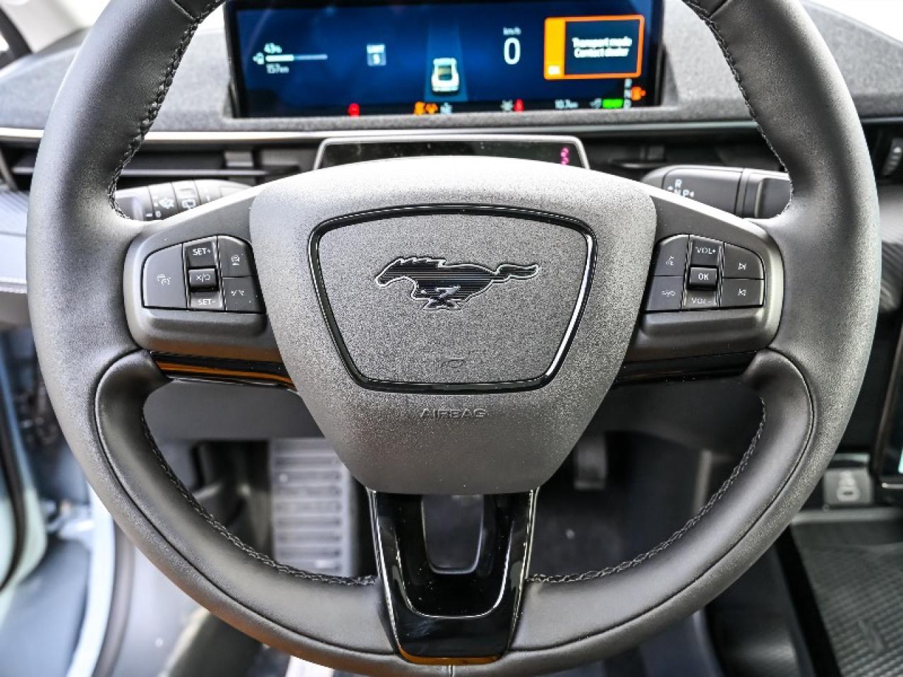 2025 Ford Mustang Mach-E Premium Photo