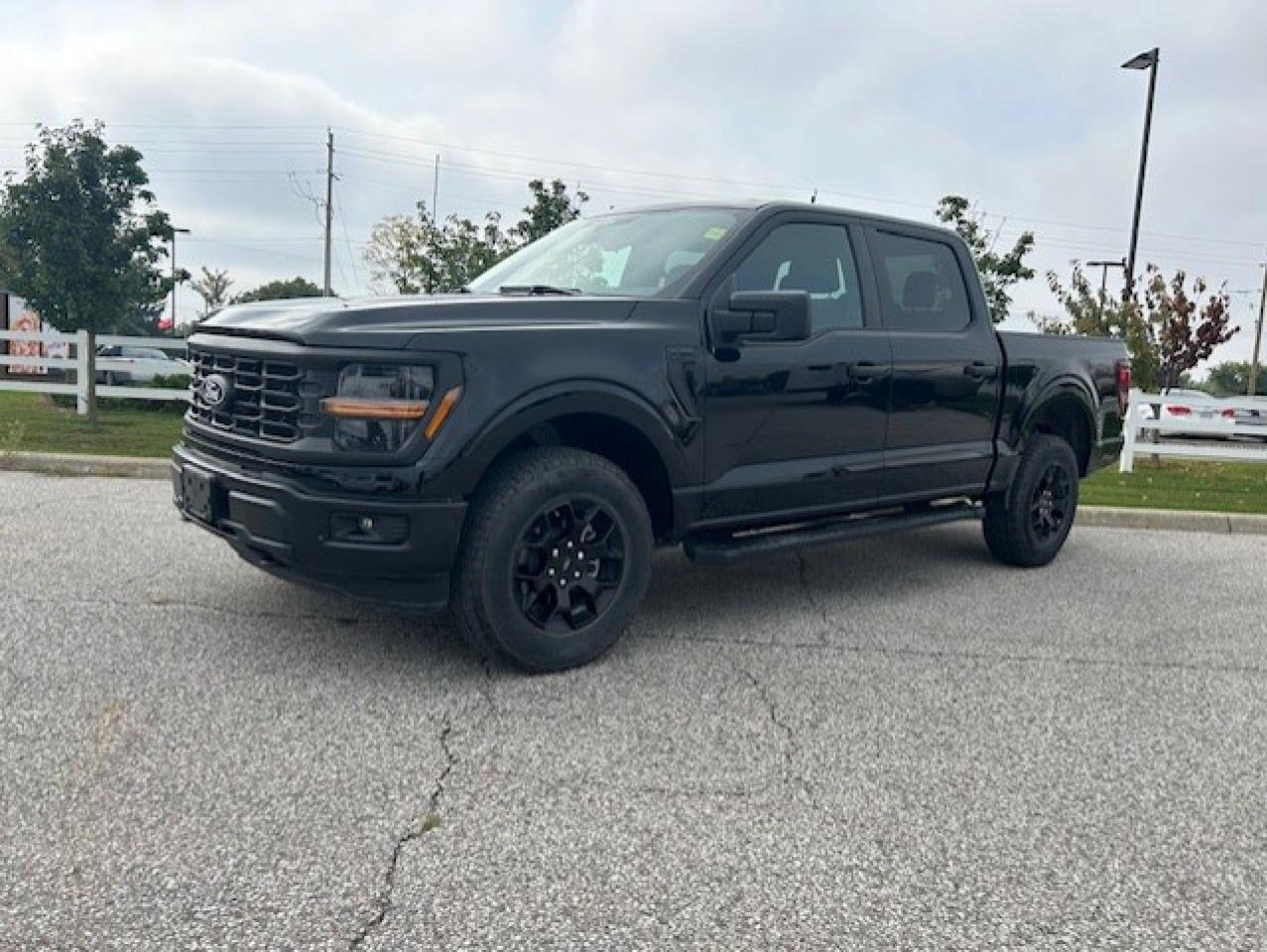 Used 2024 Ford F-150 STX 4WD SuperCrew 5.5' Box for sale in Watford, ON