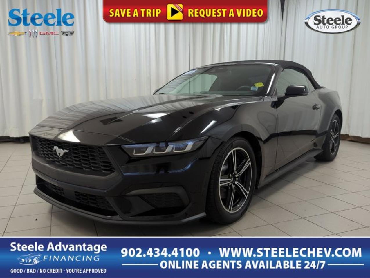 Used 2024 Ford Mustang EcoBoost Premium for sale in Dartmouth, NS