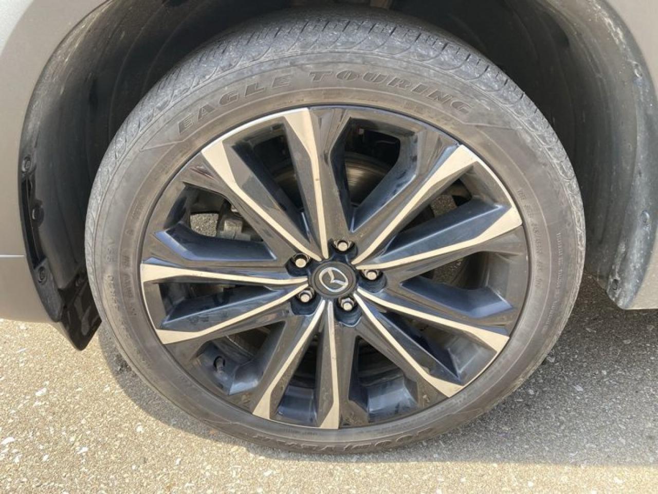 2023 Mazda CX-50 GT w/Turbo | AWD | 360 Camera | Leather Seats Photo