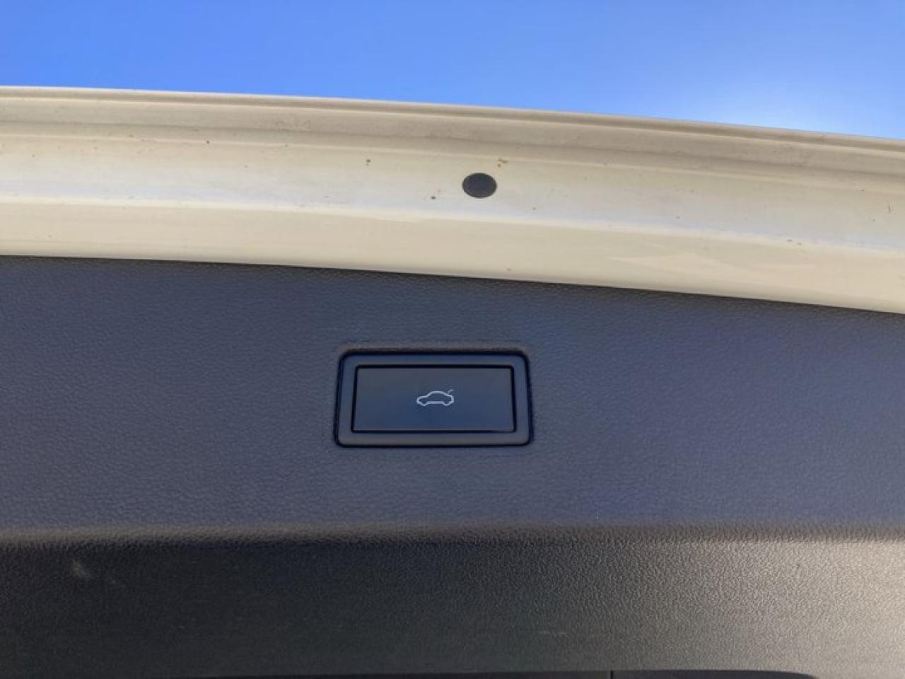 2024 Volkswagen Tiguan COMFORTLINE Photo