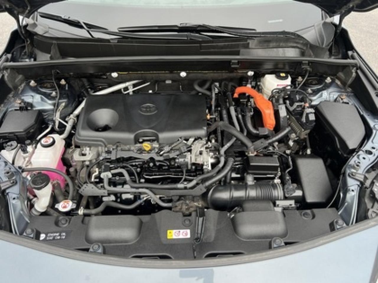 2022 Toyota Venza AWD Photo