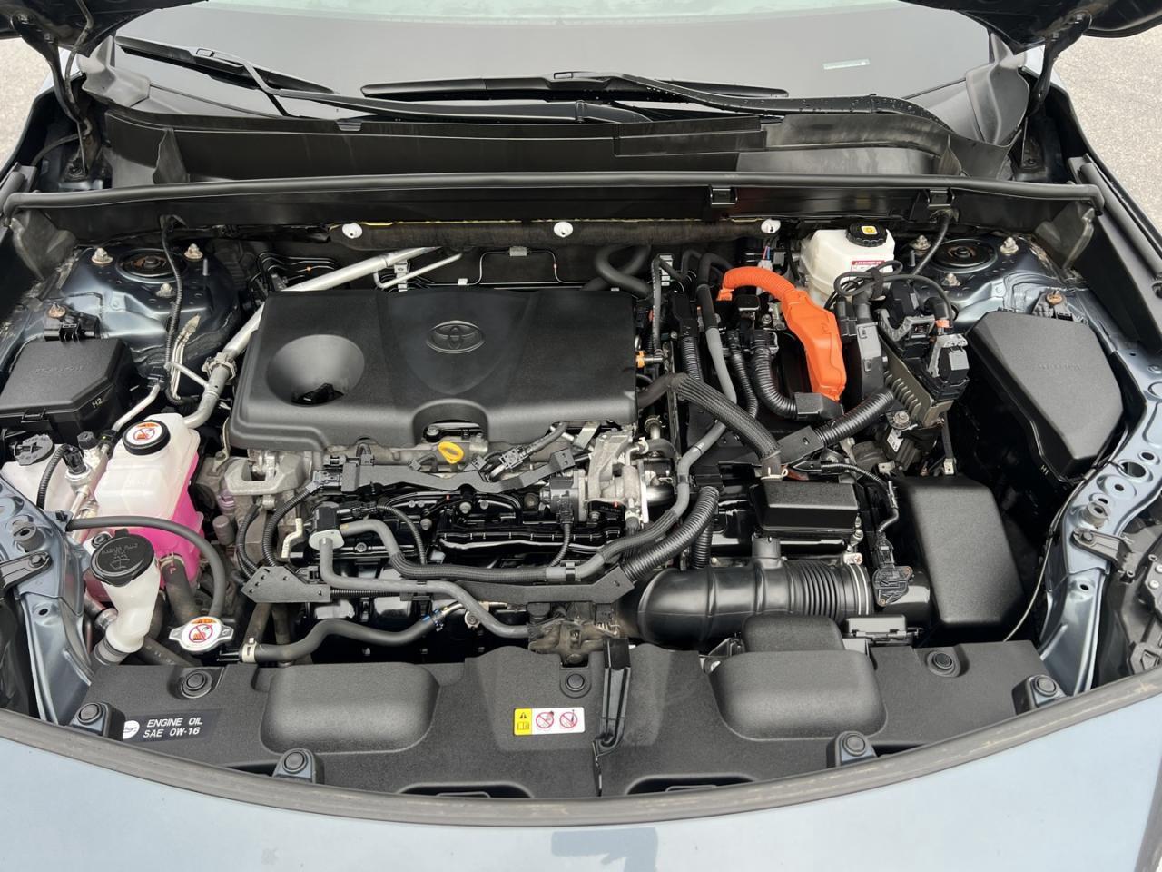 2022 Toyota Venza LE AWD Photo