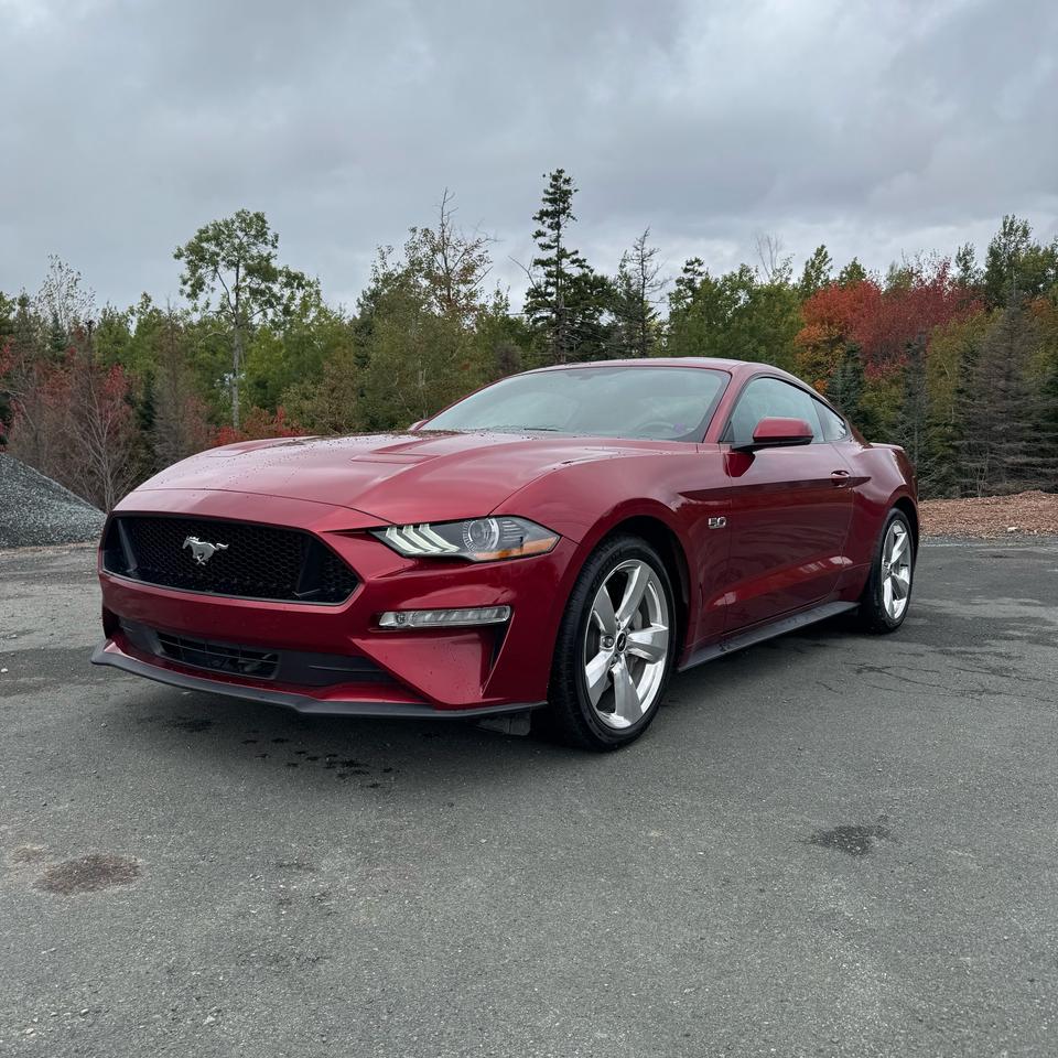 2019 Ford Mustang GT Premium